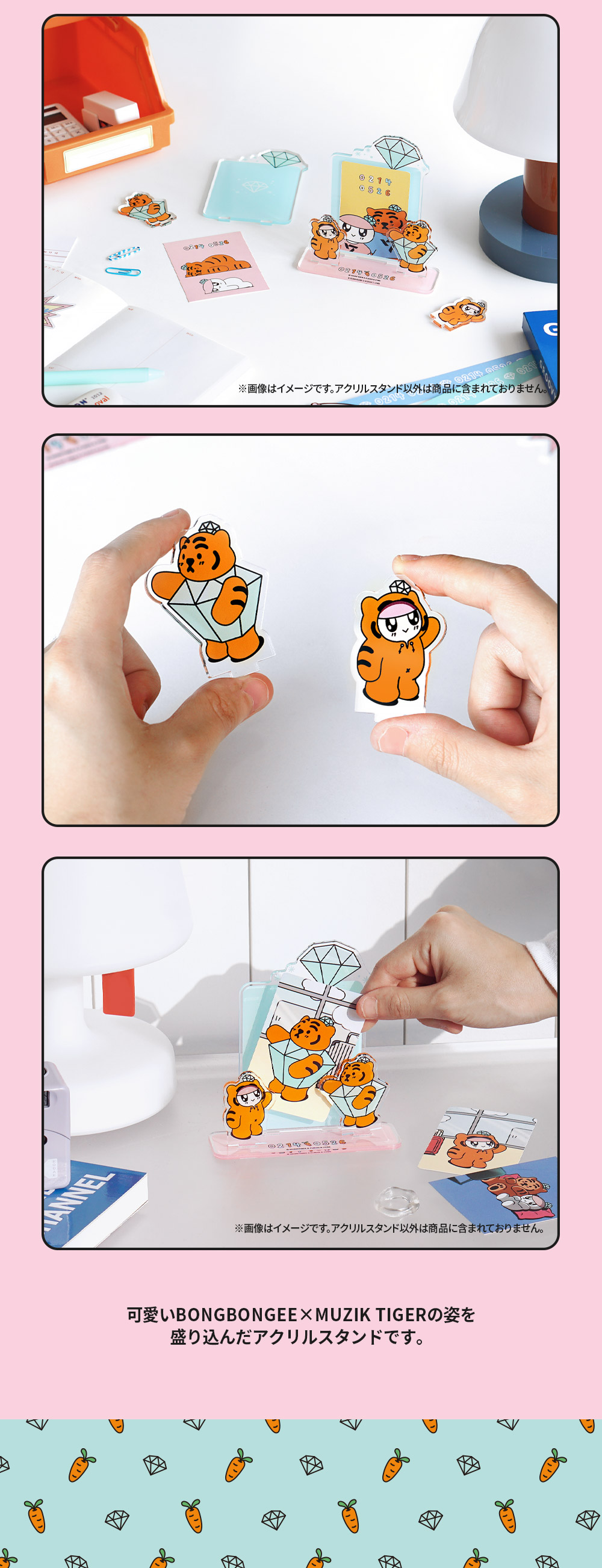 BONGBONGEE x MUZIK TIGER