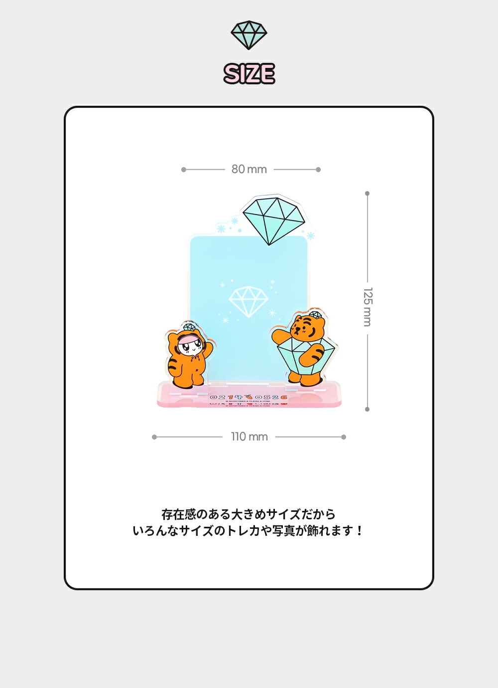 BONGBONGEE x MUZIK TIGER