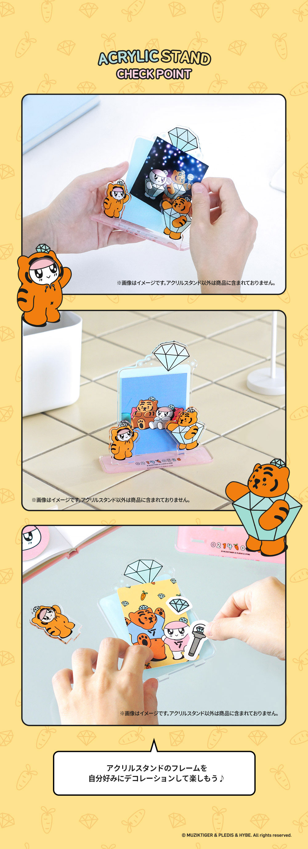 BONGBONGEE x MUZIK TIGER